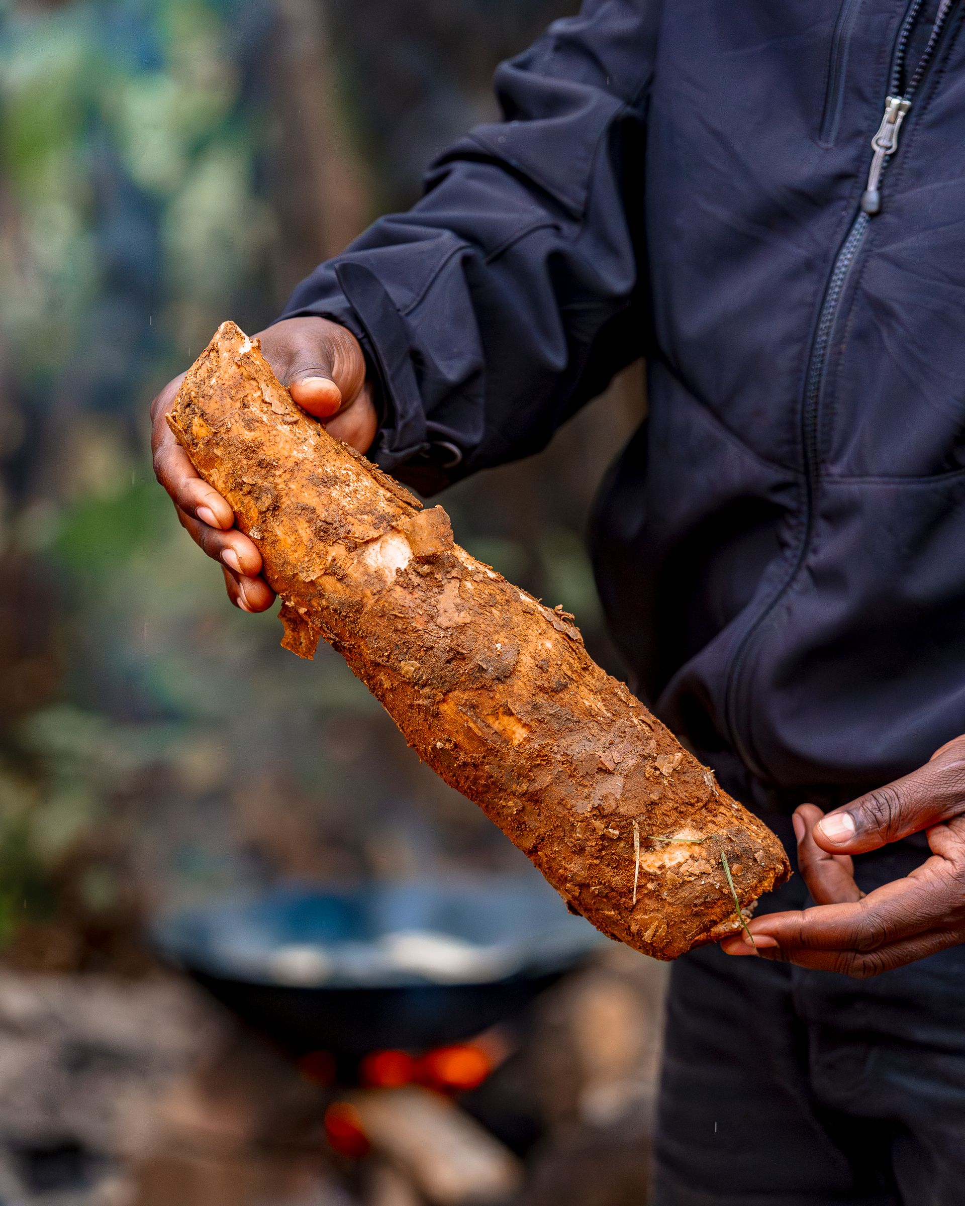 Cassava Foods